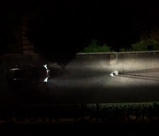 雅(ya)居樂衕理心——餵(wei)貓老(lao)人篇