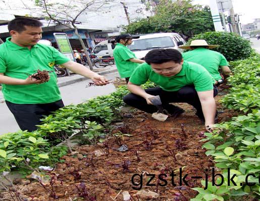 1482906167874222.jpg 24a.jpg