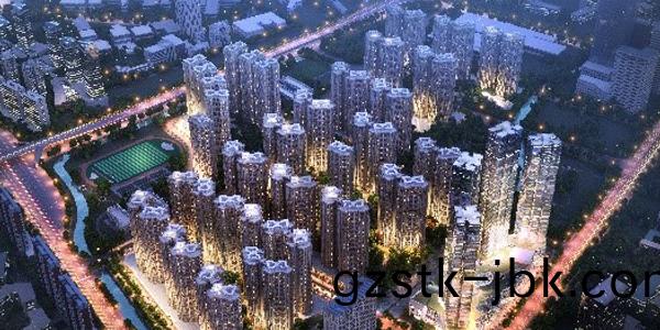 1486733936398025.jpg D1.jpg