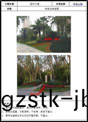 陳卓林(lin):做行(xing)業(ye)標桿 讓業(ye)主滿(man)意(yi)