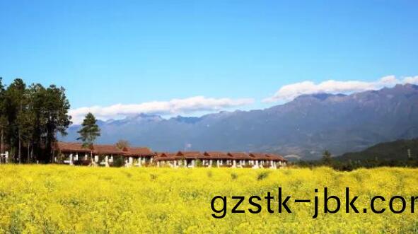 在最(zui)美(mei)的季節遇見妳 雅(ya)居(ju)樂“上(shang)山下(xia)海(hai)”體驗行(xing)