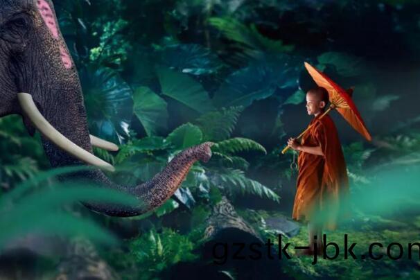 在最(zui)美的季(ji)節遇(yu)見(jian)妳(ni) 雅(ya)居(ju)樂“上山下海(hai)”體(ti)驗(yan)行(xing)