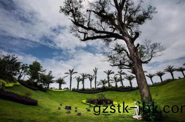 在最(zui)美(mei)的季節(jie)遇見妳 雅居(ju)樂“上山下海(hai)”體驗行(xing)