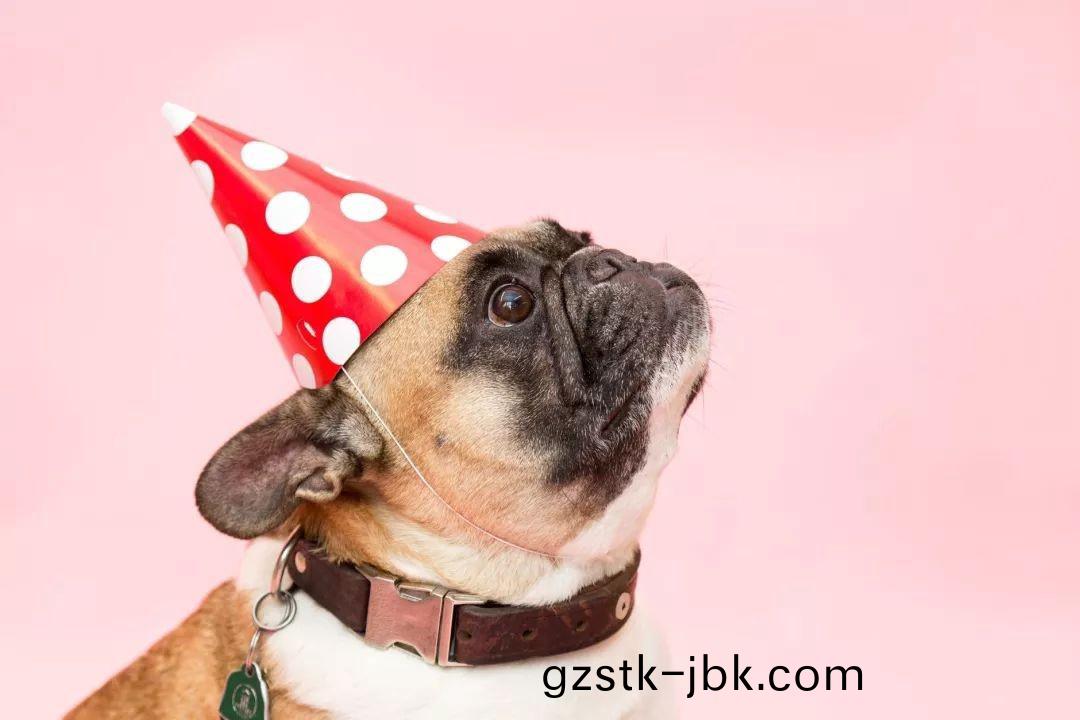 1546929677384113.jpg 6.jpg