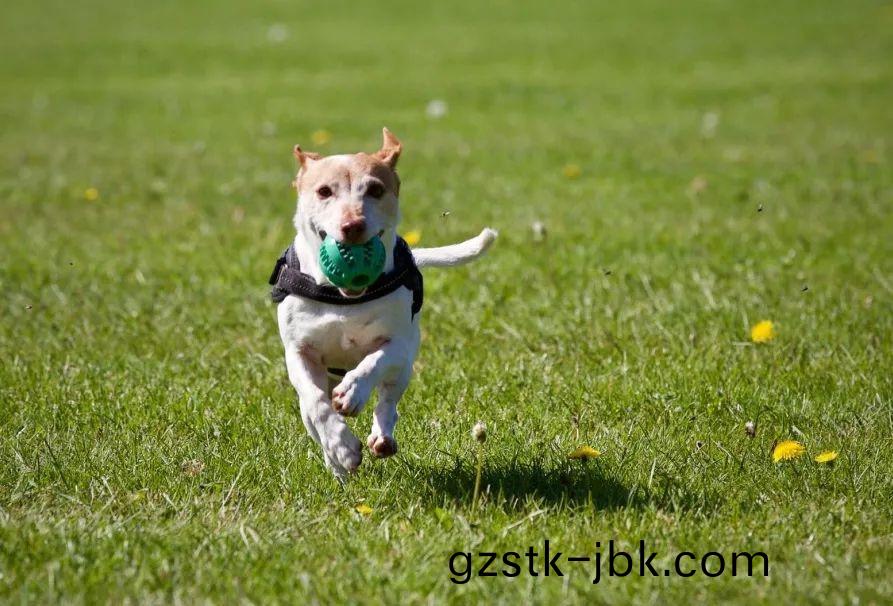 1546929707185153.jpg 7.jpg