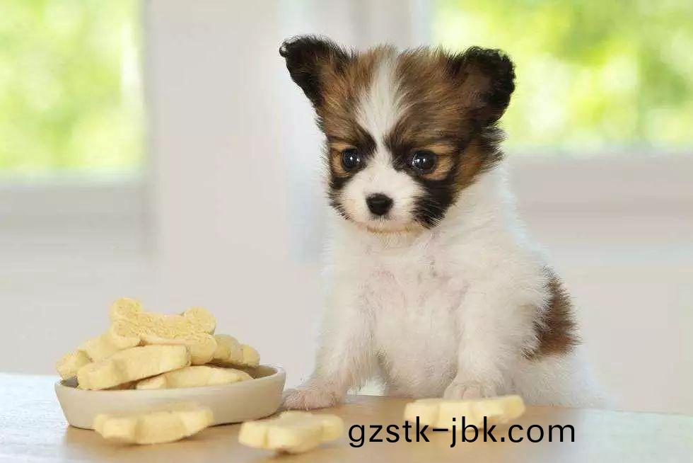 1546929757907878.jpg 9.jpg