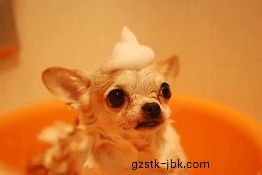 1546929797732317.jpg 0.jpg