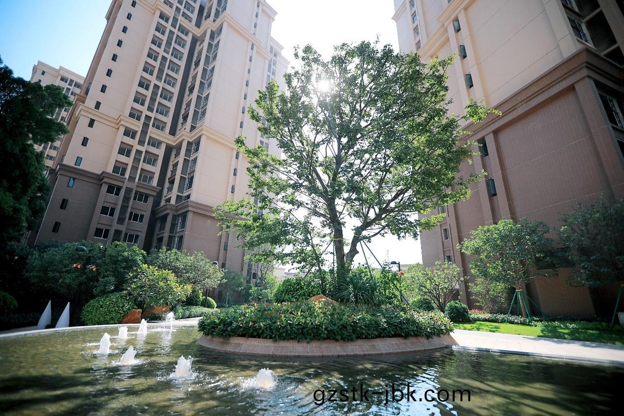 1578389390159416.jpg 1.jpg