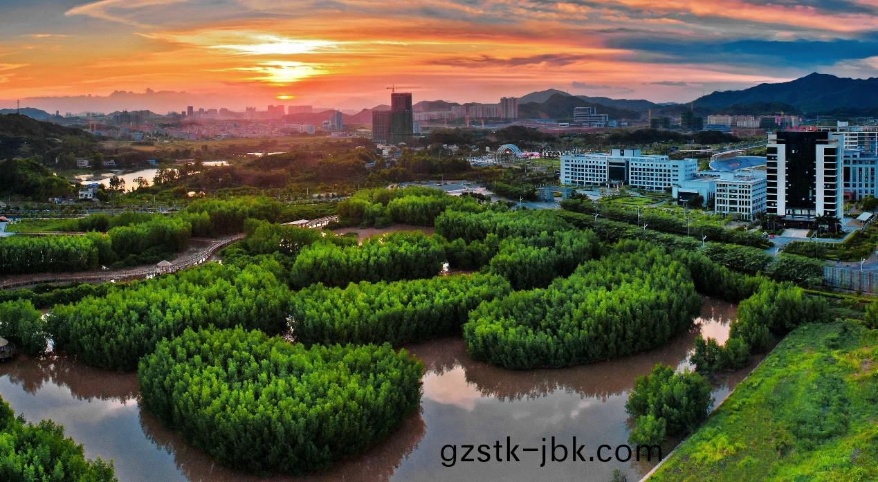 1629273936589372.jpg 5.jpg